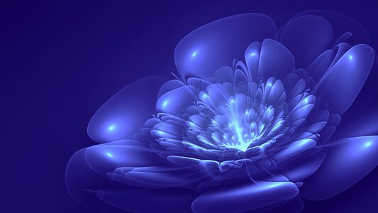 Blossom floral fractal art. Free illustration for personal and commercial use.