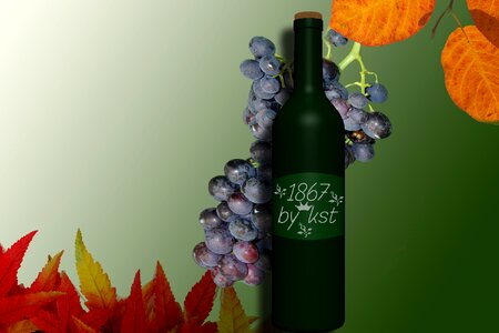 Bottle leaves grapes. Free illustration for personal and commercial use.