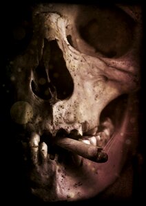 Cigarette skull smoke. Free illustration for personal and commercial use.