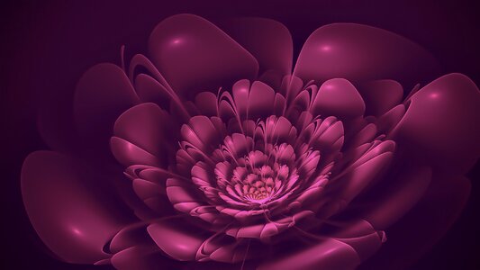 Bloom purple pink. Free illustration for personal and commercial use.