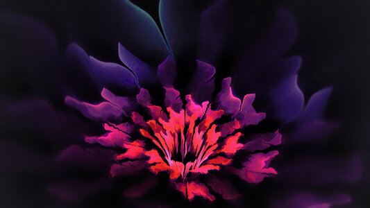 Painting flower fractal art. Free illustration for personal and commercial use.
