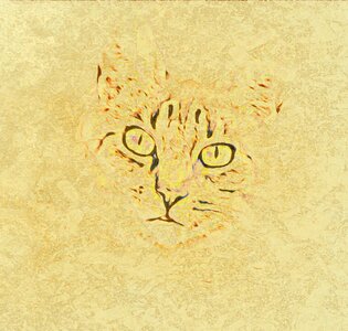 Drawing animal cat. Free illustration for personal and commercial use.