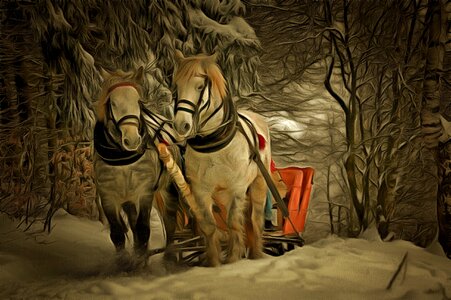 Winter white brown horse. Free illustration for personal and commercial use.