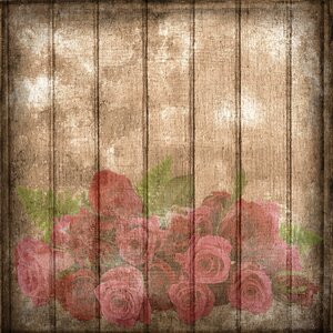 Vintage romantic roses. Free illustration for personal and commercial use.
