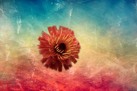 Fantasy surreal bloom. Free illustration for personal and commercial use.