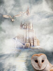 Mystical birds view. Free illustration for personal and commercial use.