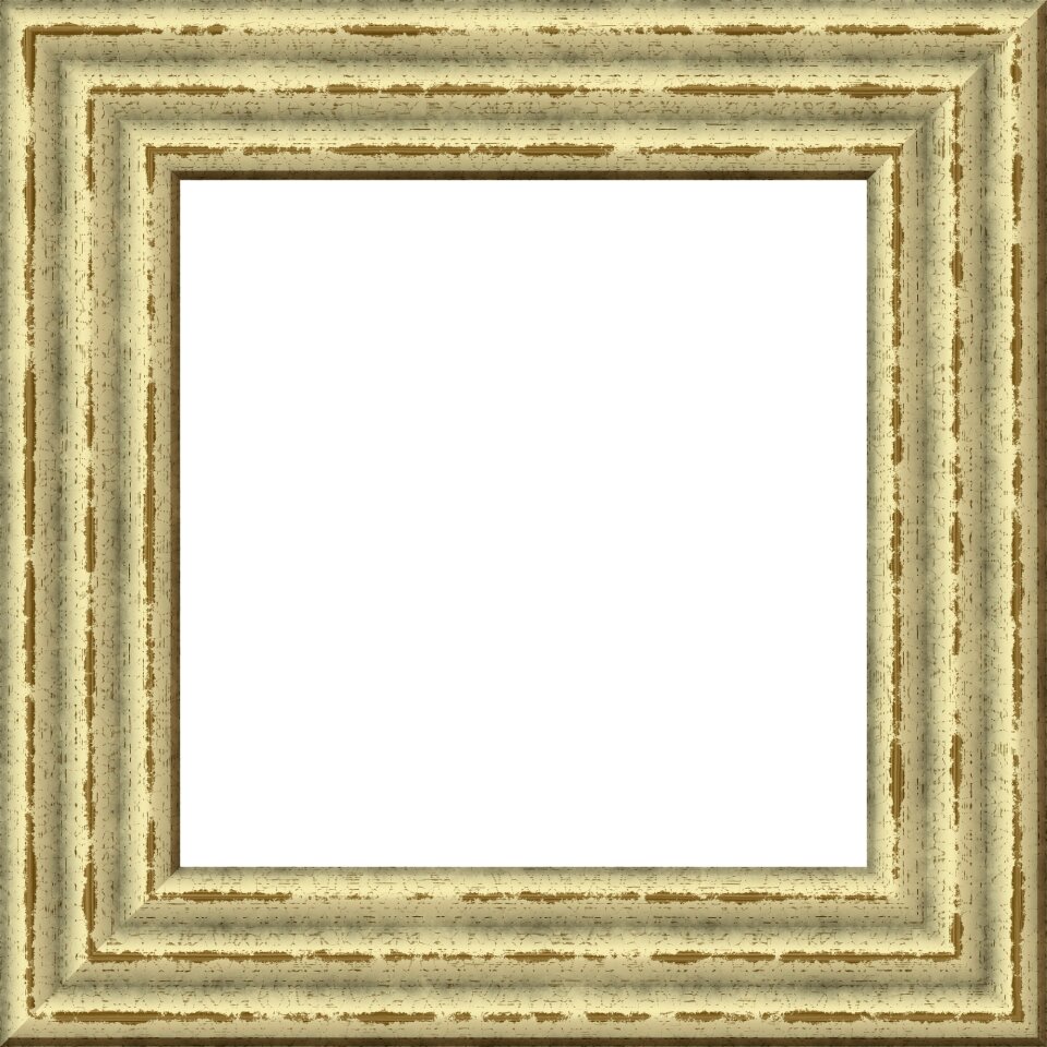 Surround blank area. Free illustration for personal and commercial use.