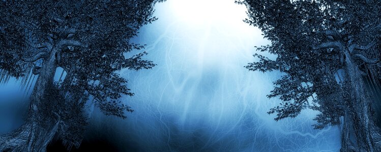Old tree forest mystical. Free illustration for personal and commercial use.