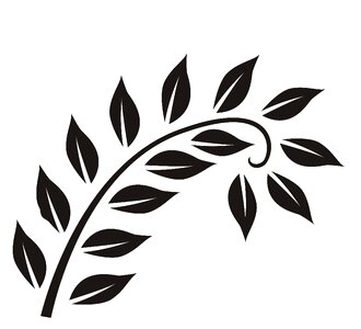 Branch leaves black white. Free illustration for personal and commercial use.