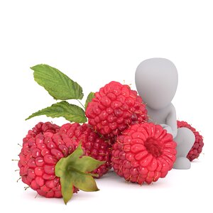 Vegan raspberry berry. Free illustration for personal and commercial use.