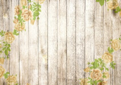 Apricot romantic background. Free illustration for personal and commercial use.