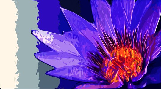 Purple water lily Free illustrations. Free illustration for personal and commercial use.