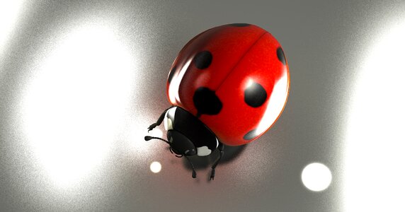 Good luck ladybug beetle. Free illustration for personal and commercial use.