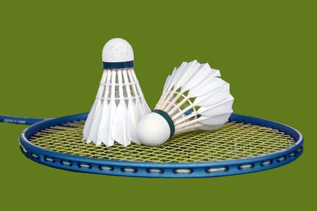 Game sport racquet. Free illustration for personal and commercial use.