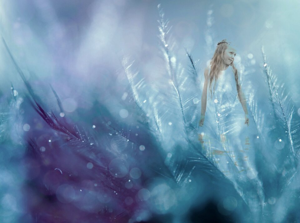 Fairy tales elf fantasy. Free illustration for personal and commercial use.
