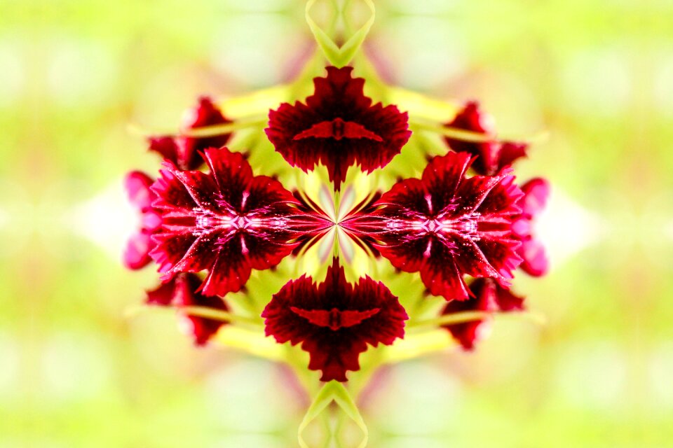 Zen kaleidoscope background image. Free illustration for personal and commercial use.