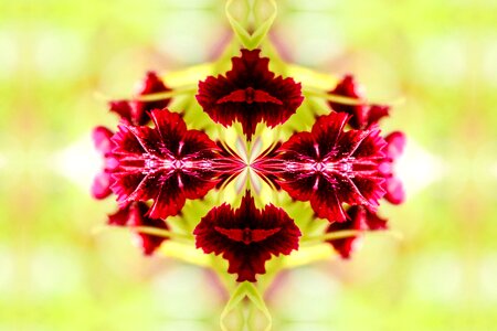 Zen kaleidoscope background image. Free illustration for personal and commercial use.