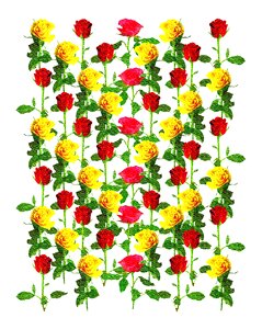 Romance flower valentine's day. Free illustration for personal and commercial use.