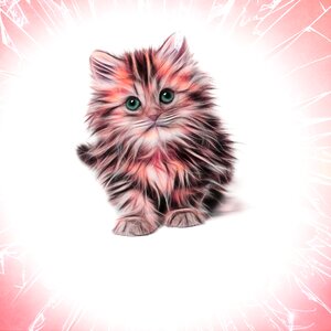 Kitten animal feline. Free illustration for personal and commercial use.