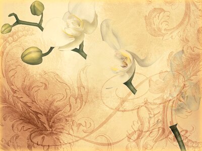 Floral love stationery. Free illustration for personal and commercial use.