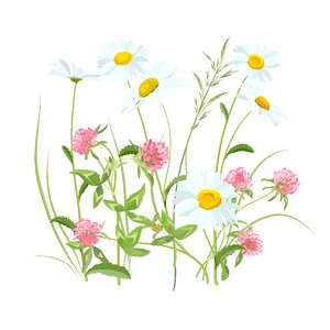 Meadow spring summer. Free illustration for personal and commercial use.