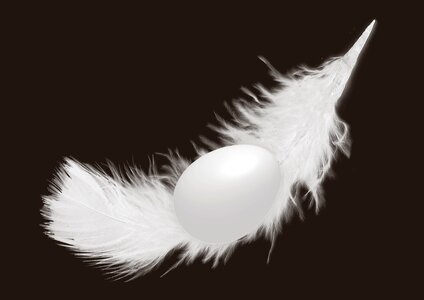 Chicken feather decoration happy easter. Free illustration for personal and commercial use.