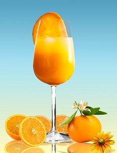 Orange juice juice glass. Free illustration for personal and commercial use.