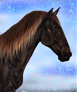 Horse digital artwork drawing. Free illustration for personal and commercial use.