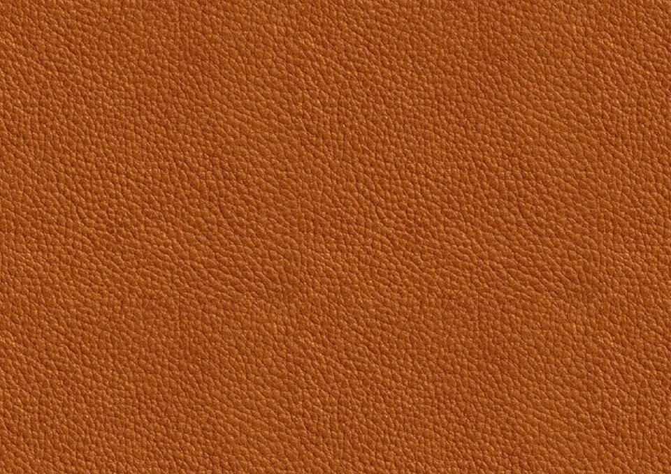 Skin brown orange. Free illustration for personal and commercial use.