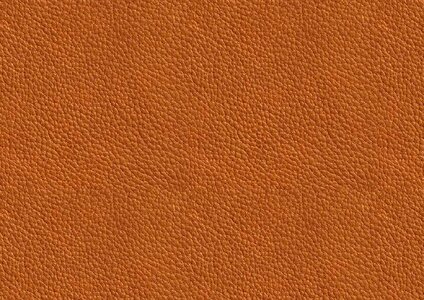 Skin brown orange. Free illustration for personal and commercial use.