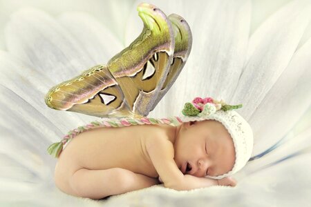 Cute infant newborn. Free illustration for personal and commercial use.