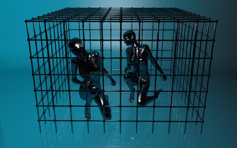 Grid captivity caught. Free illustration for personal and commercial use.