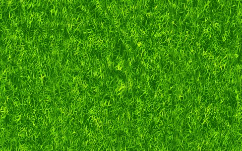 Texture green texture Free illustrations. Free illustration for personal and commercial use.