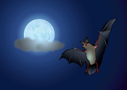 Clouds moonlight animal. Free illustration for personal and commercial use.