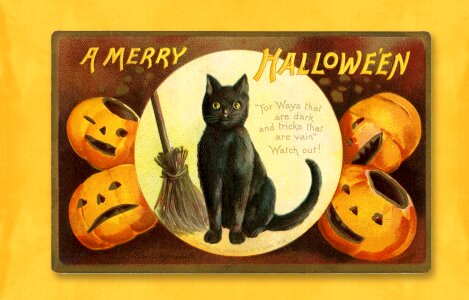 Halloween card cat black. Free illustration for personal and commercial use.