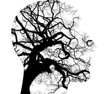 Tree branches disorder psychiatry. Free illustration for personal and commercial use.