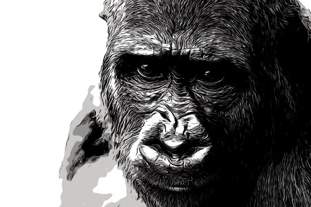 Zoo face drawing. Free illustration for personal and commercial use.