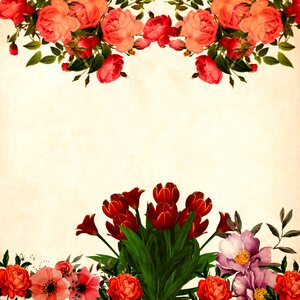 Roses bouquet floral. Free illustration for personal and commercial use.