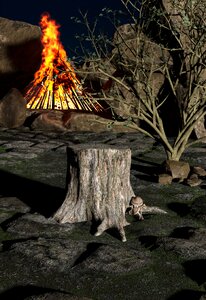 Fire tree stump evening. Free illustration for personal and commercial use.