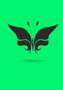 Nature design fly. Free illustration for personal and commercial use.