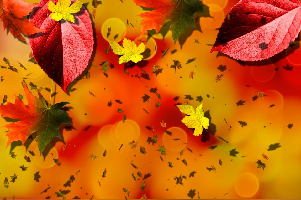 Yellow orange october. Free illustration for personal and commercial use.