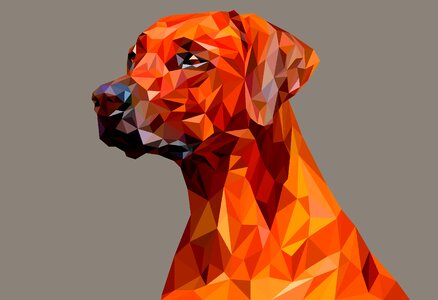 Geometric illustration polygon. Free illustration for personal and commercial use.