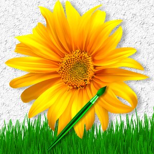 Yellow flower brush lawn. Free illustration for personal and commercial use.