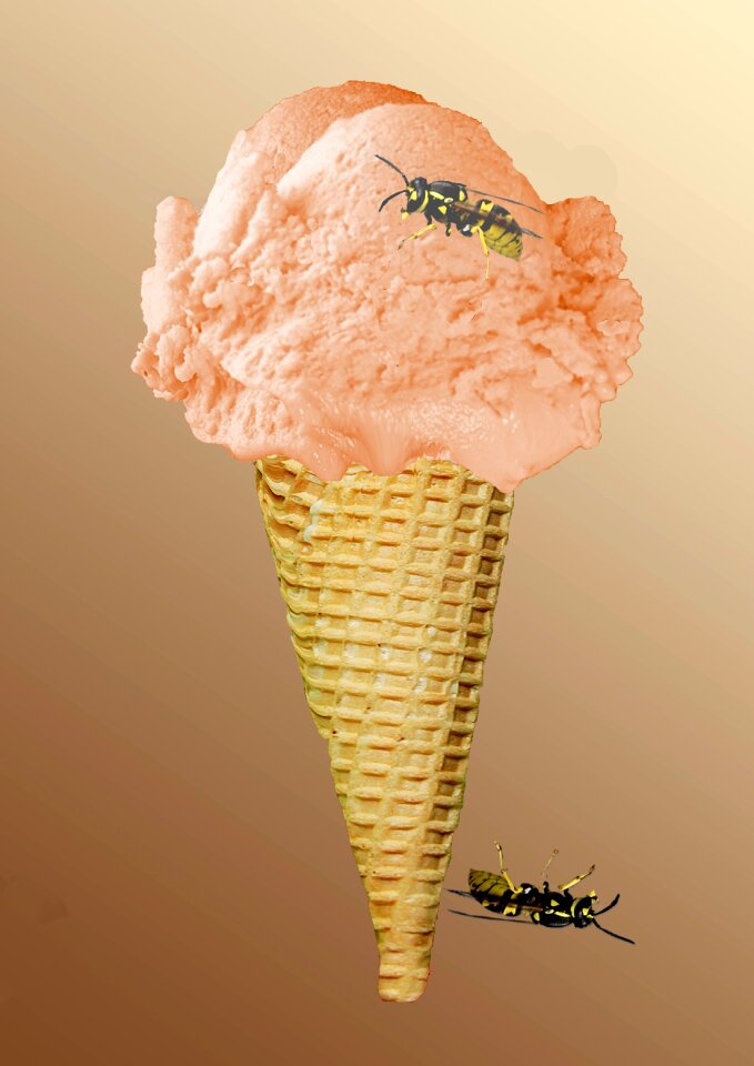 https://cdn.creazilla.com/illustrations/1688245/strawberry-ice-cream-ice-ball-waffle-cone-illustration-md.jpeg