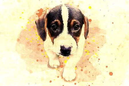 Animal canine portrait. Free illustration for personal and commercial use.