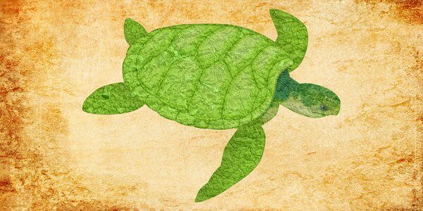 Green turtle animal sea animal. Free illustration for personal and commercial use.