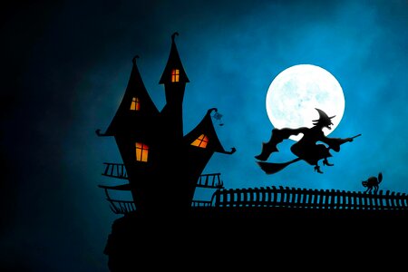 Broomstick cat full moon. Free illustration for personal and commercial use.