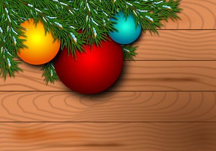 Festivity pinheiro branch. Free illustration for personal and commercial use.