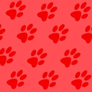 Animal tracks cat paws texture. Free illustration for personal and commercial use.