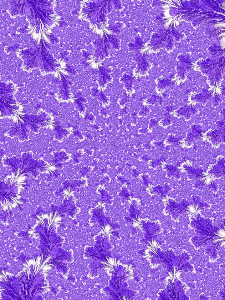 Lilac flower lilac pattern Free illustrations. Free illustration for personal and commercial use.